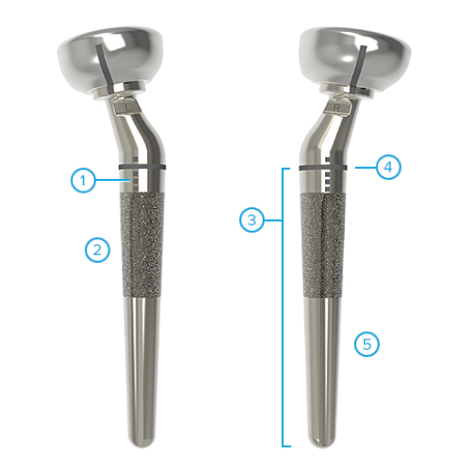 Standard Volar Distal Radius Plates