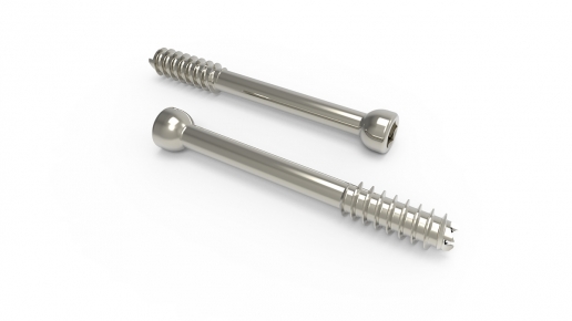 Extremity Screws