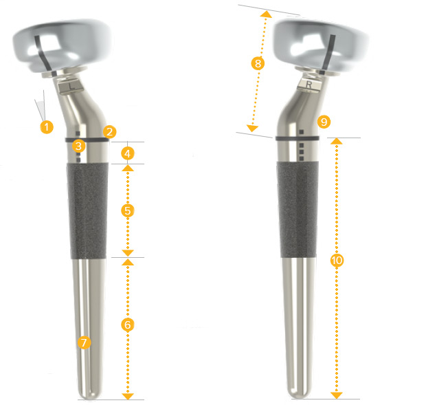 Standard Volar Distal Radius Plates